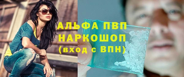 PSILOCYBIN Кулебаки