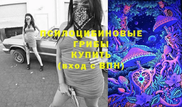 гидропоника Лабытнанги