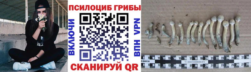 Псилоцибиновые грибы мухоморы Купить Сенгилей